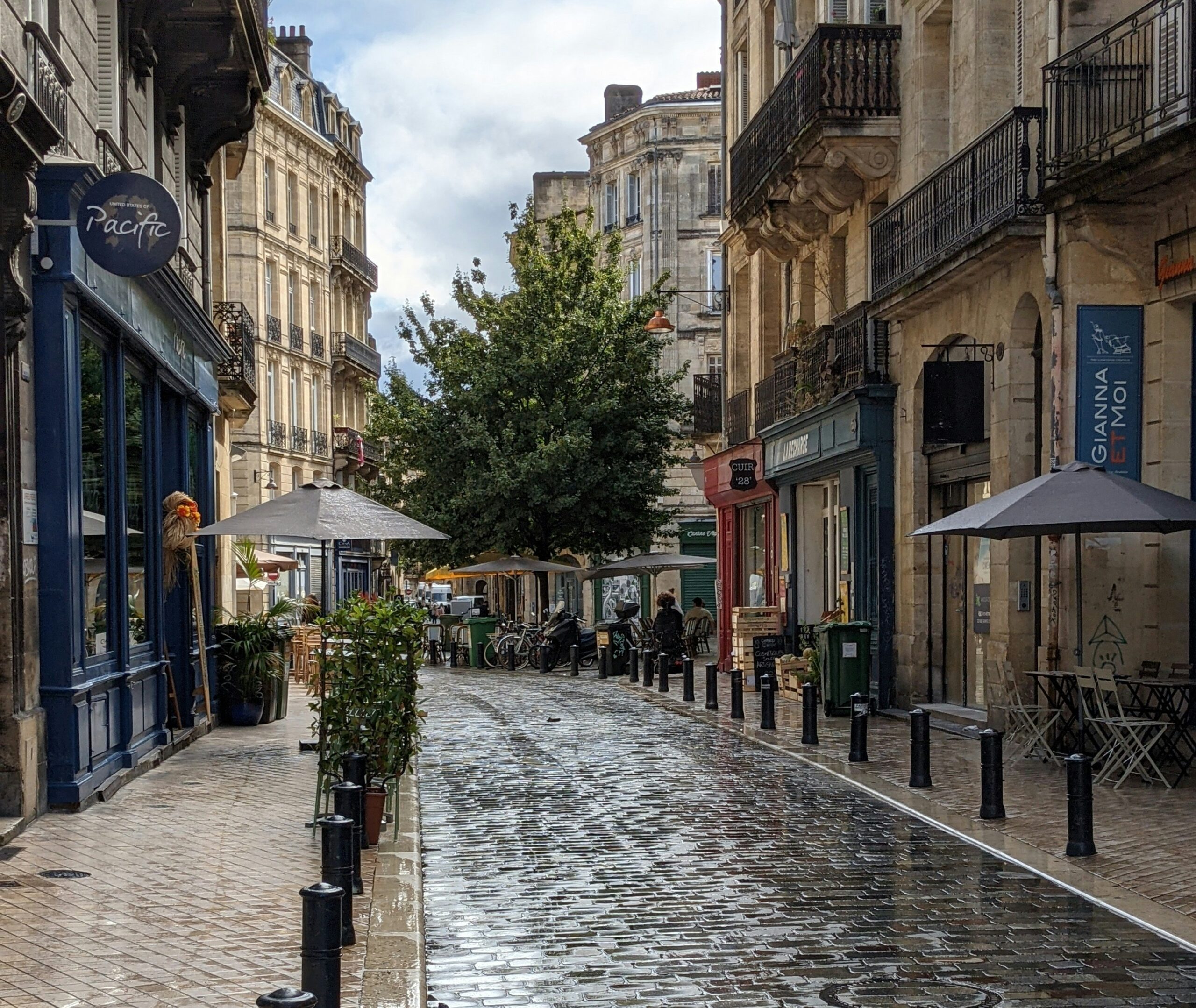 Denis Dimitrov IBslGiI9CuY Unsplash Scaled