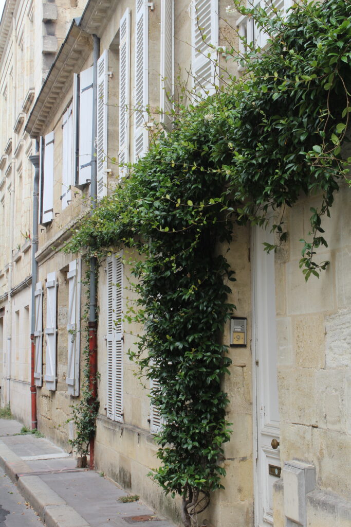 Bordeaux walking tour